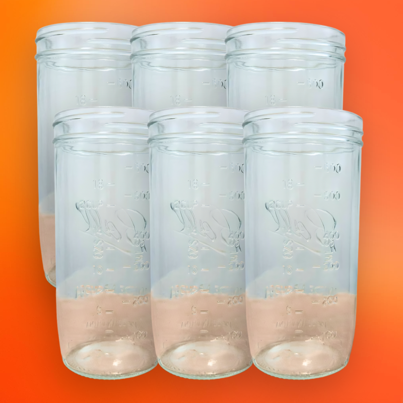 FoodVault™ Glass Mason Jars